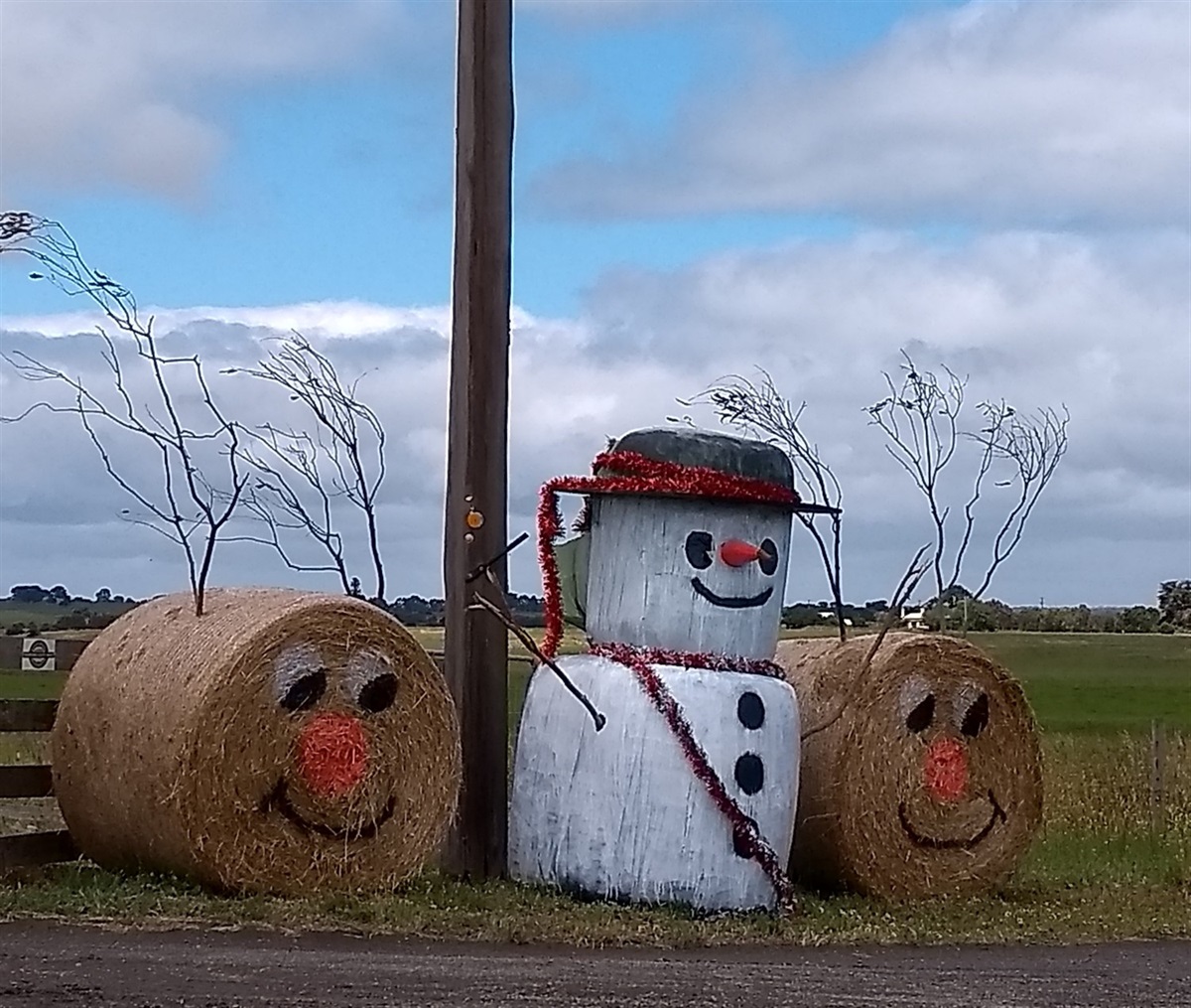 Red Rock S Decorated Hay Bale Trail Colac Otway Shire