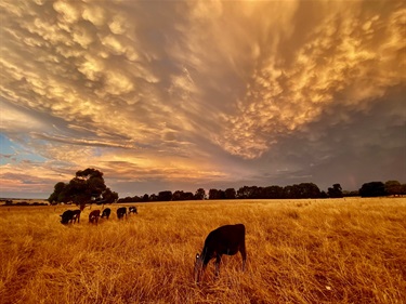 16. “Stormy skies clear, revealing a cloudscape of calm and wonder.