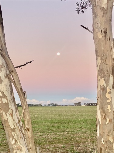 18. Moon Rising, Piper Ferlazzo 13-18 Category