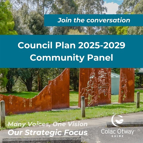 Social-Media-Tile-Council-Plan-2025-2029-Community-Panel.jpg