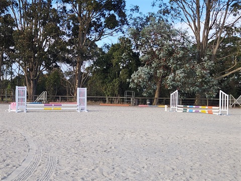 Colac pony Club - multiple jumps.jpg