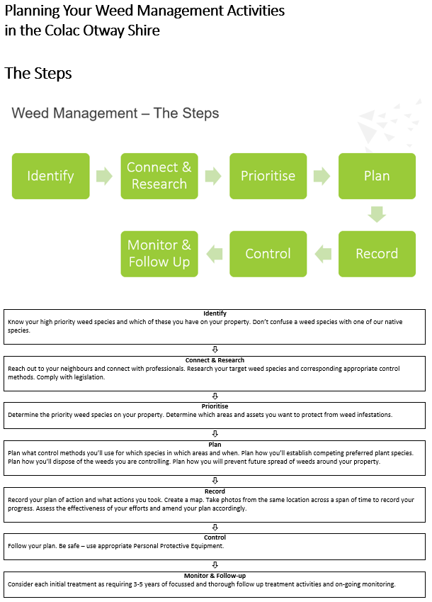 Planning-your-Weed-activities-the-steps.png