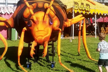 Giant Bugs - Beetle